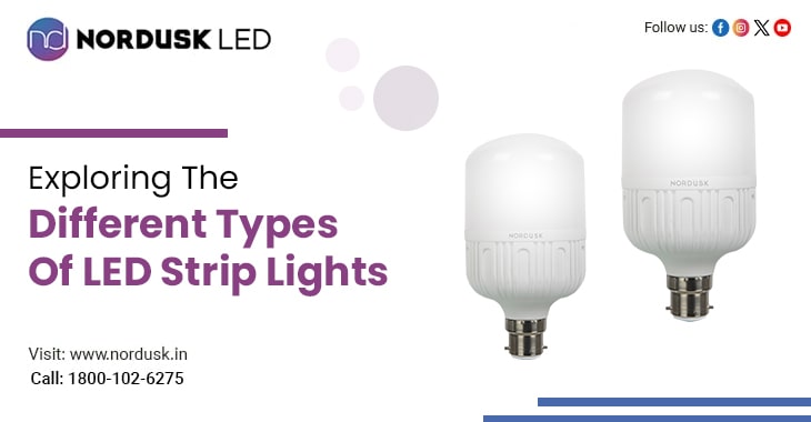 Exploring The Different Types Of LED Strip Lights
